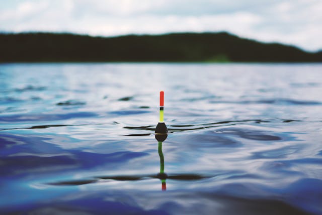 Les secrets des spots de pêche Vendéens révélés