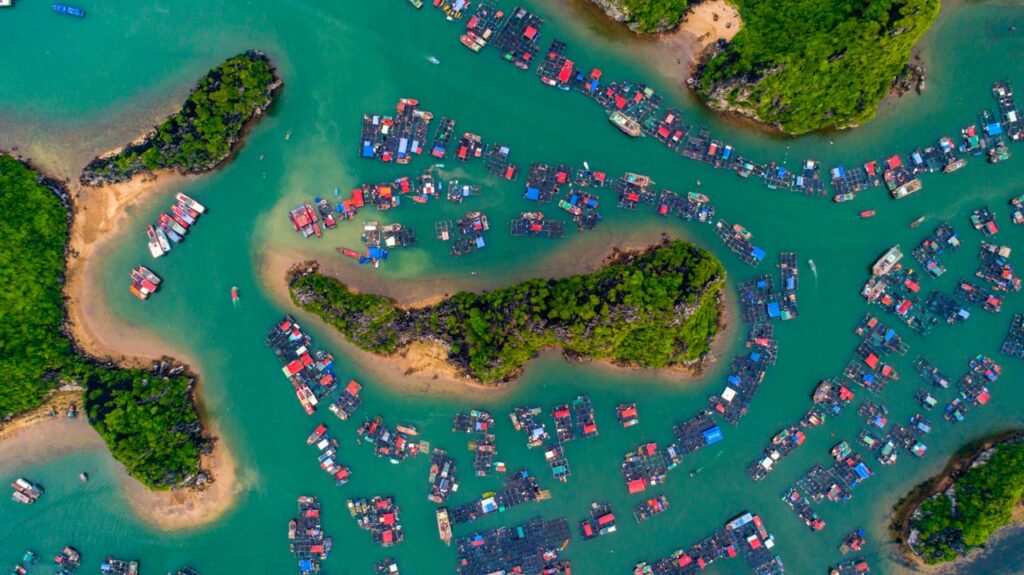 Les trésors de Cat Ba : activités, paysages et découvertes avec l’agence Aventure Vietnam